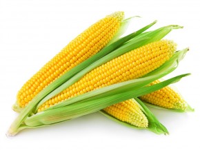 BIO KUKUŘIČNÝ KLAS